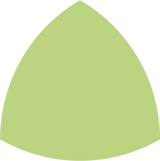 LaDrôme bachbloesem 10, Chicorei - Chicory, biologisch
