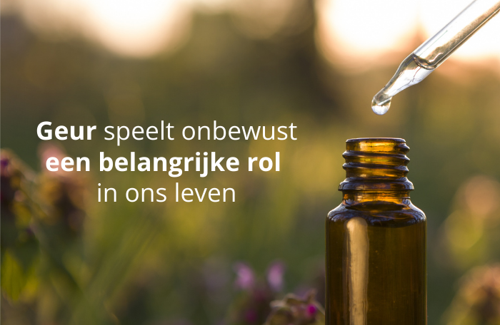Gratis online training Aromatherapie