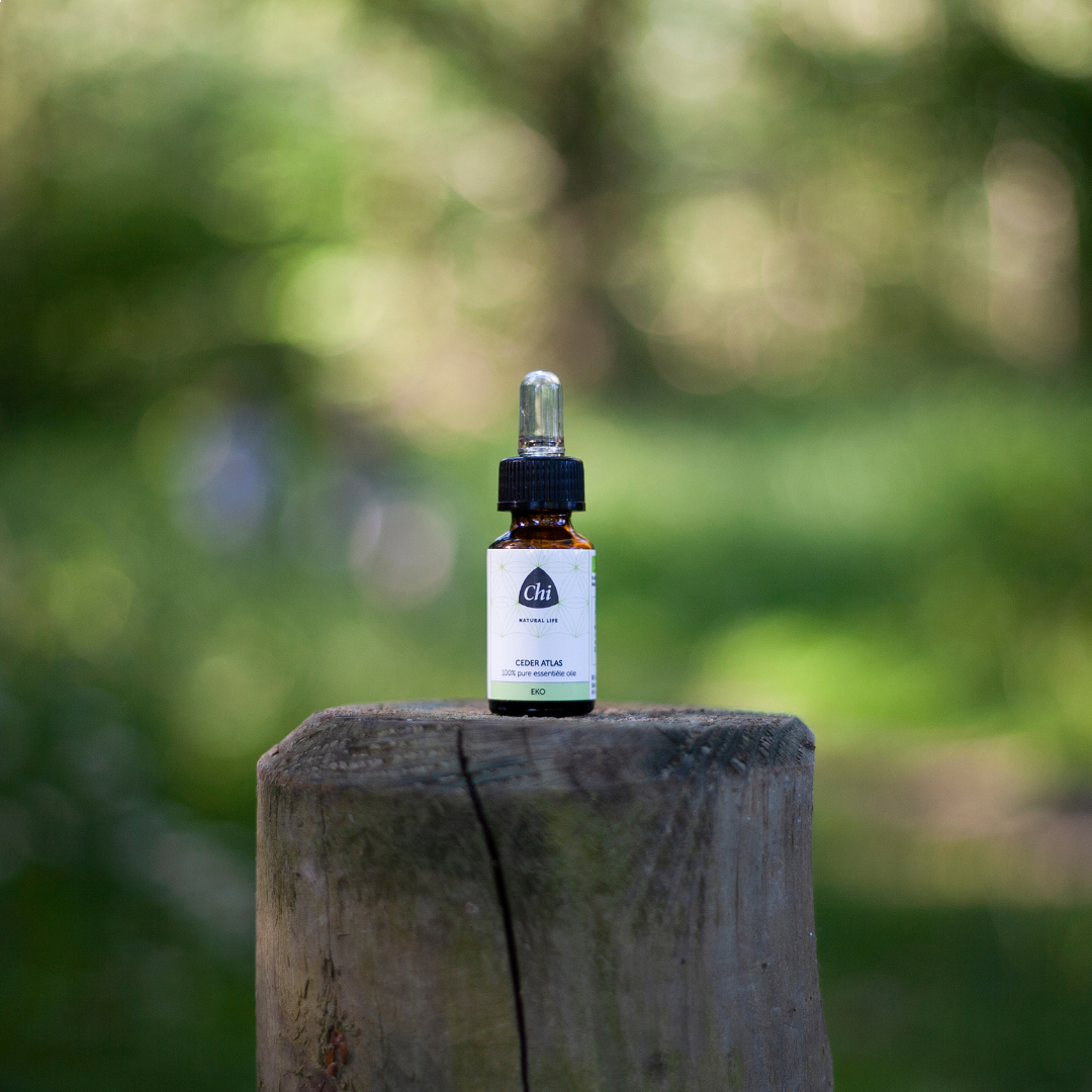 Jacob Hooy Ceder Etherische Olie 10 ml kopen - Gezondheid aan huis Jacob Hooy Ceder Etherische Olie 10 ml kopen - Gezondheid aan huis