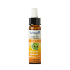LaDrôme bachbloesem 1, Agrimonie - Agrimony, biologisch