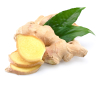 Gember CO2 extract, biologisch