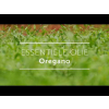 Oregano etherische olie, biologisch