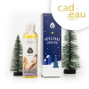Lavinchi Massage olie