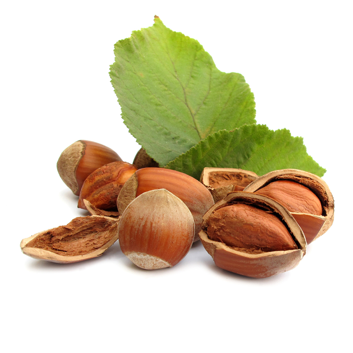 Hazelnoot plant olie, biologisch