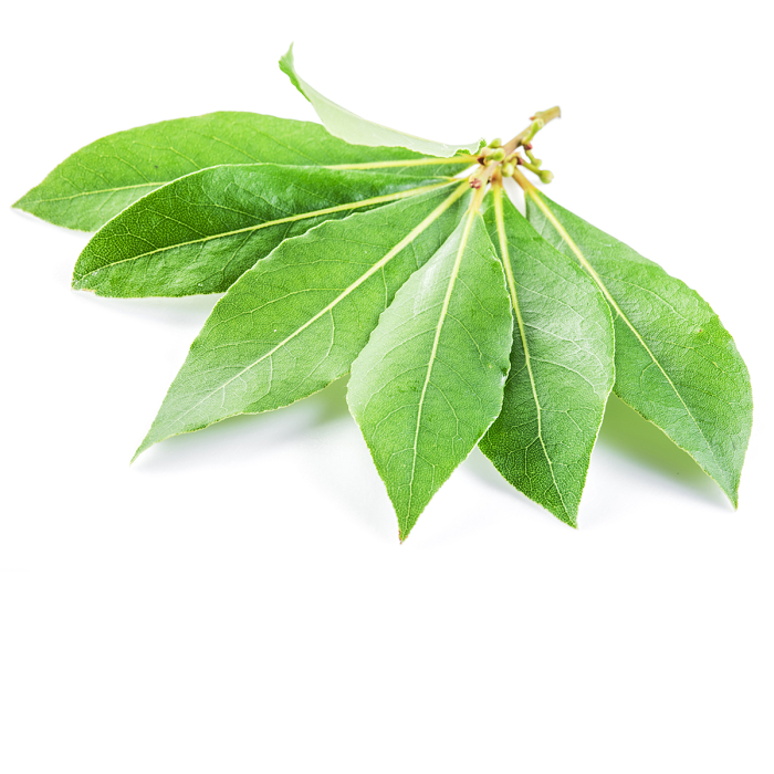 Laurier etherische olie, biologisch