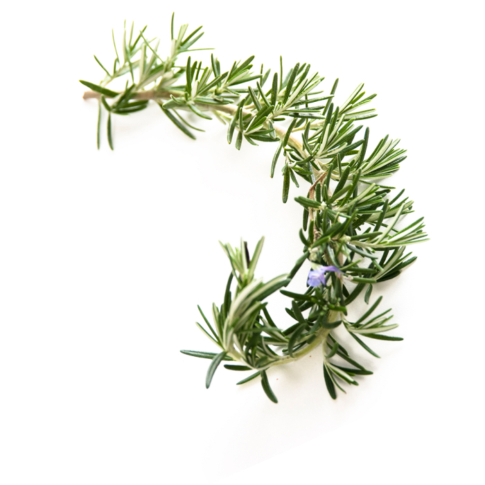 Rozemarijn verbenon etherische olie, biologisch