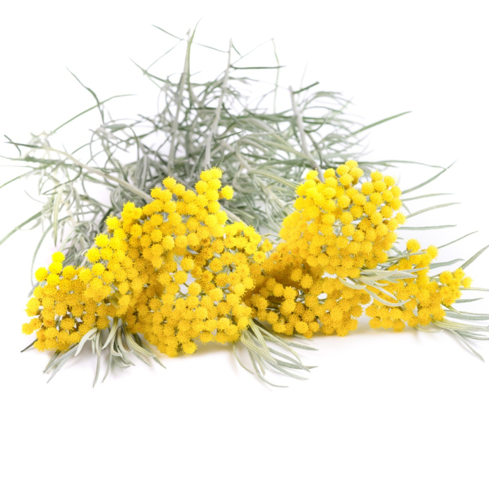 Helicryse hydrolaat, biologisch