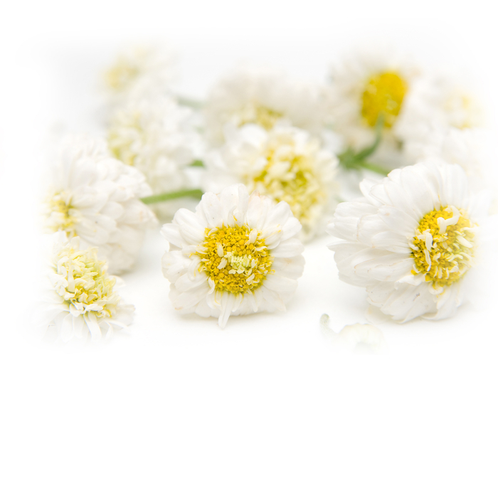 Kamille hydrolaat, biologisch