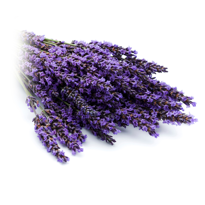 Lavendel hydrolaat, biologisch