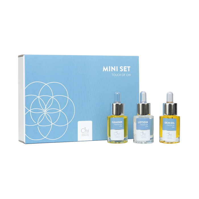 CEC mini’s: Touch of Chi