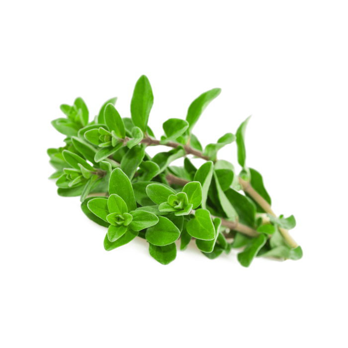 Marjolein zoet CO2 extract