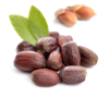 Jojoba plant olie