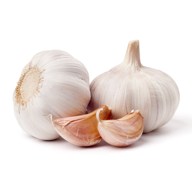 Knoflook CO2 extract total, biologisch