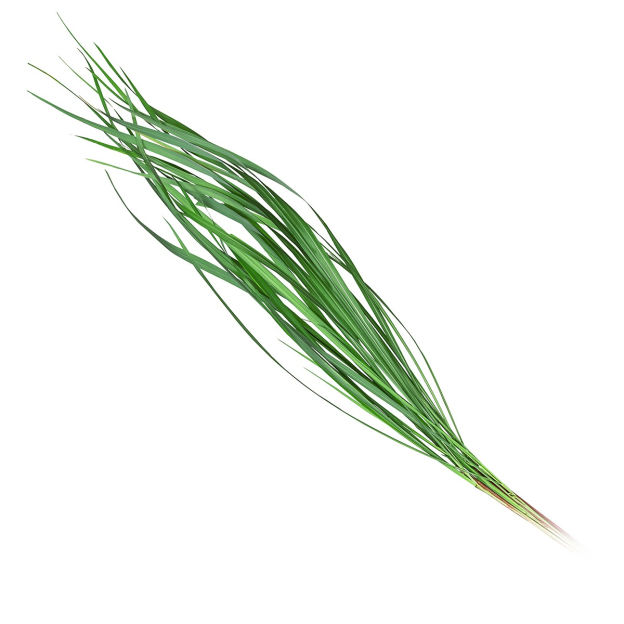 Citronella etherische olie