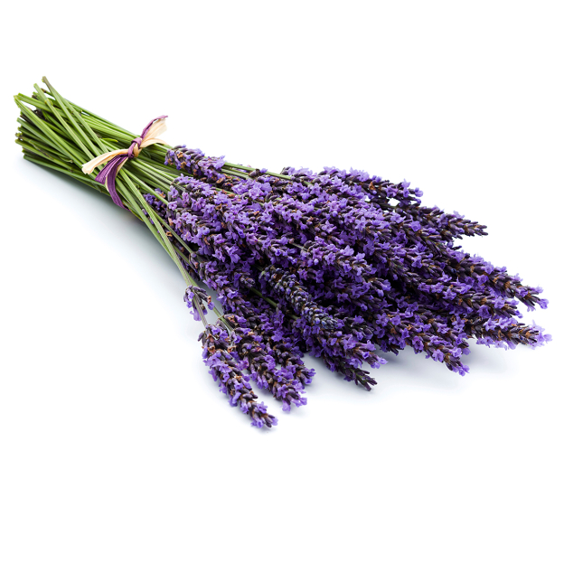  Lavendel Bulgarije etherische olie, biologisch