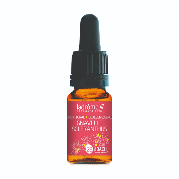 LaDrôme bachbloesem 28, Hardbloem - Scleranthus, biologisch