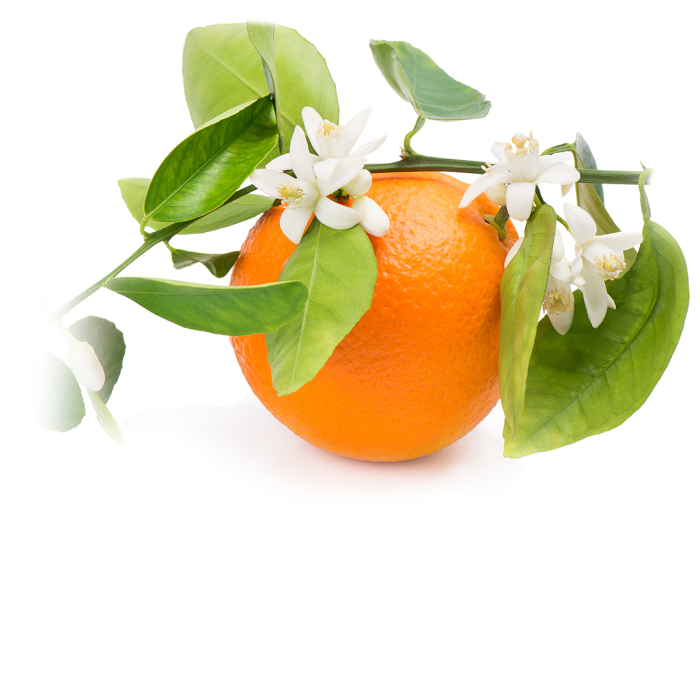Oranjebloesem hydrolaat met 10 pop-up maskers