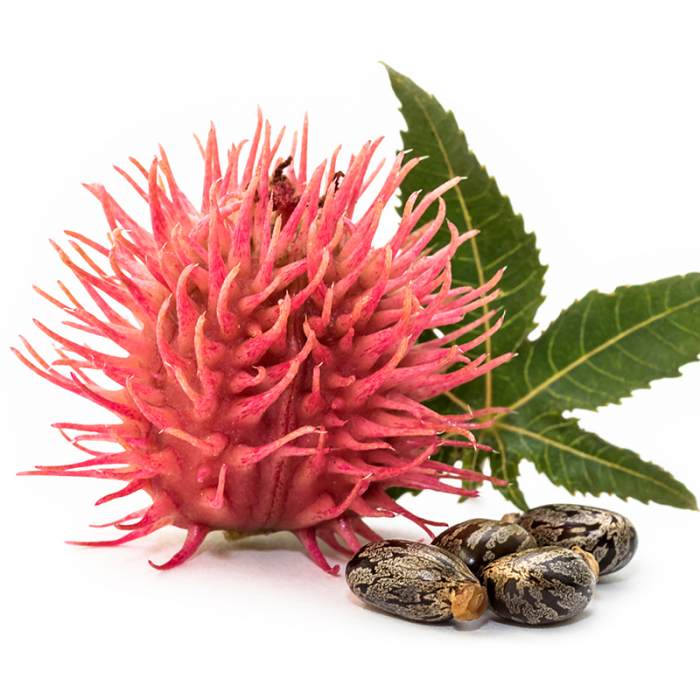 Castor olie De beste castorolie voor gezicht en haren koudgeperst & biologisch Chi Natural
