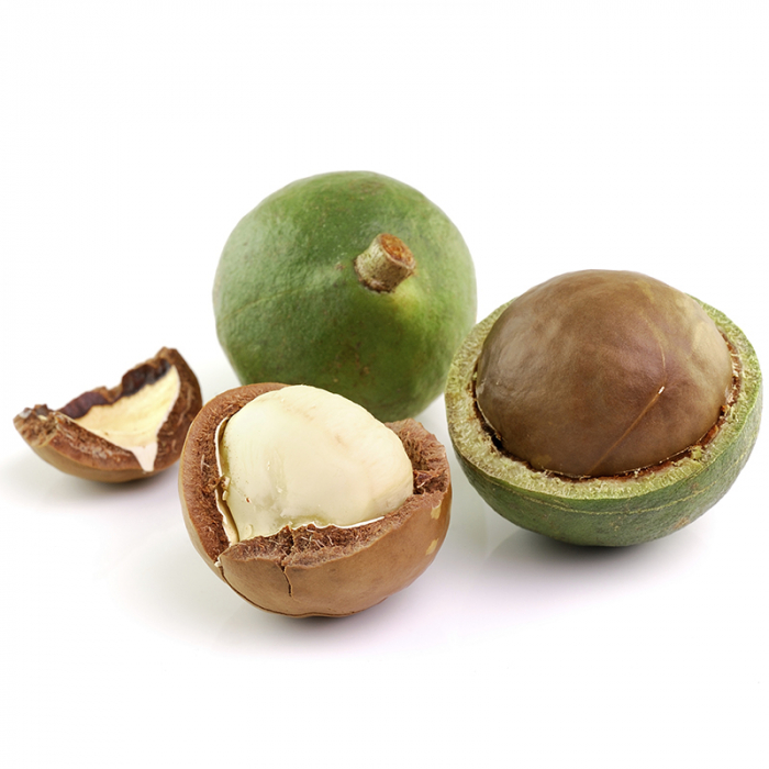 Macadamia plant olie, biologisch