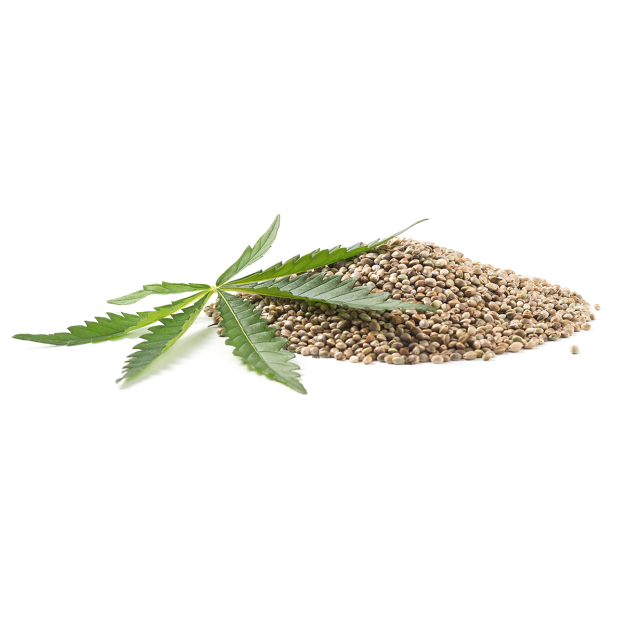 Hennepzaad plant olie, biologisch