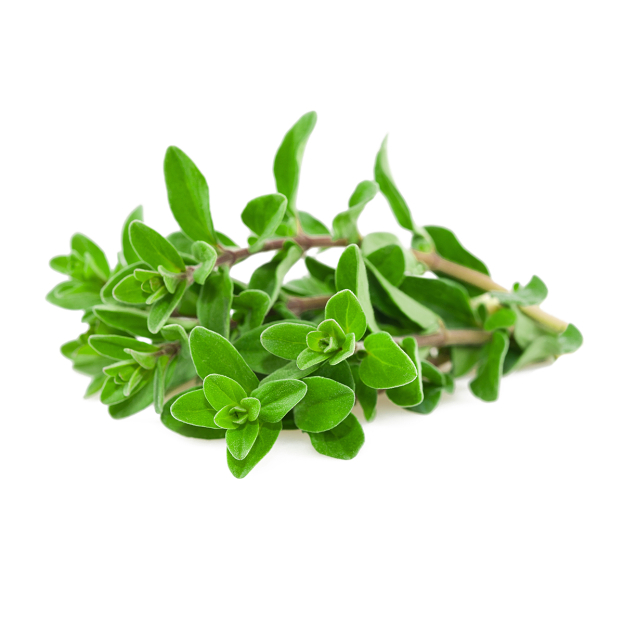 Zoete marjolein etherische olie, biologisch