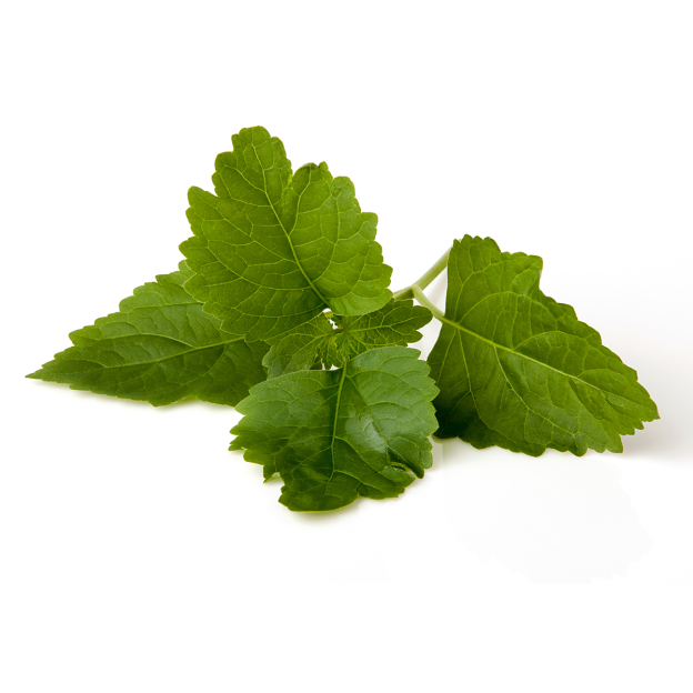 Patchouli etherische olie, biologisch