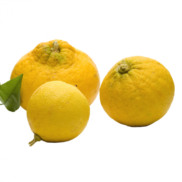 Bergamot etherische olie, biologisch 