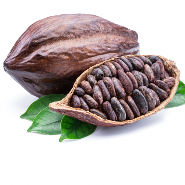 Cacao CO2 extract