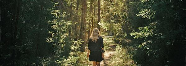 Baden in het bos = Forest Bathing
