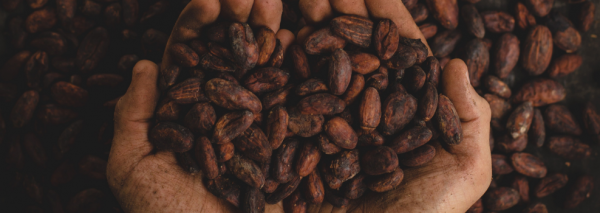 DIY: Hemelse Cacao