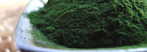 3 x Spirulina Spread