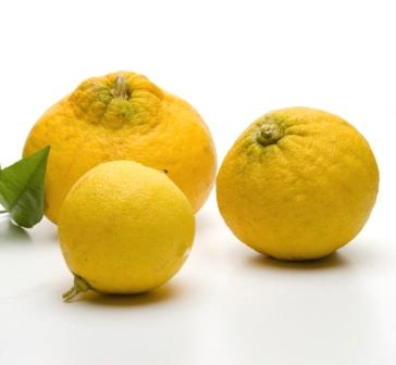 Bergamot